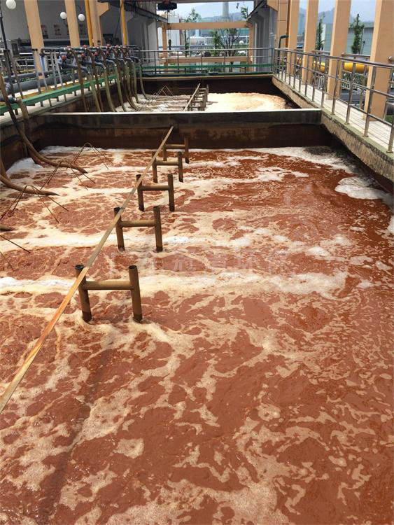 中低濃度氨氮廢水處理光催化技術(圖1)